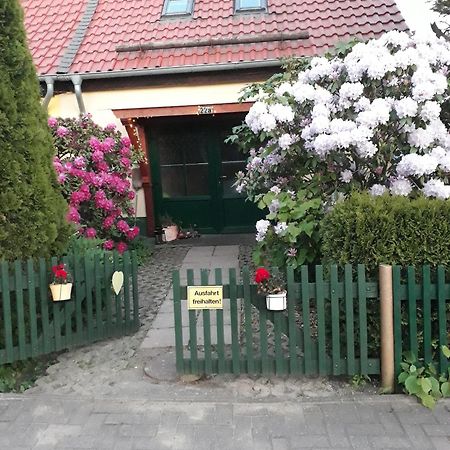Harzglueck Villa Thale Exterior photo